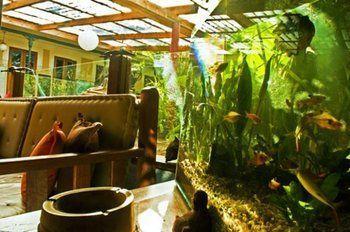 Casa Aurea Boutique Bed and breakfast